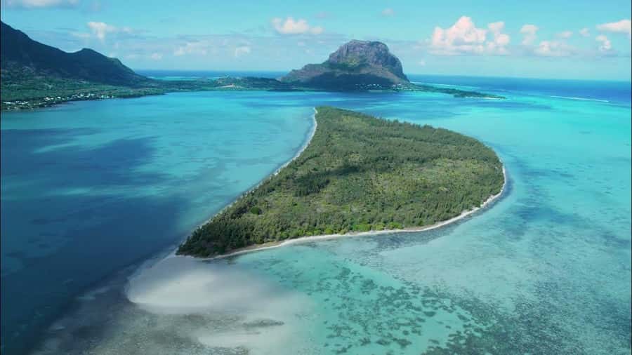 Mauritius: Swim with Dolphins Full-Day with Lunch/Drinks - Speedboat along Mauritius’ west coast