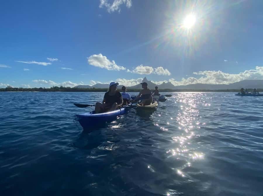 Mauritius: Tamarin Bay Dolphin Watching Kayak Tour - Key points to know before booking