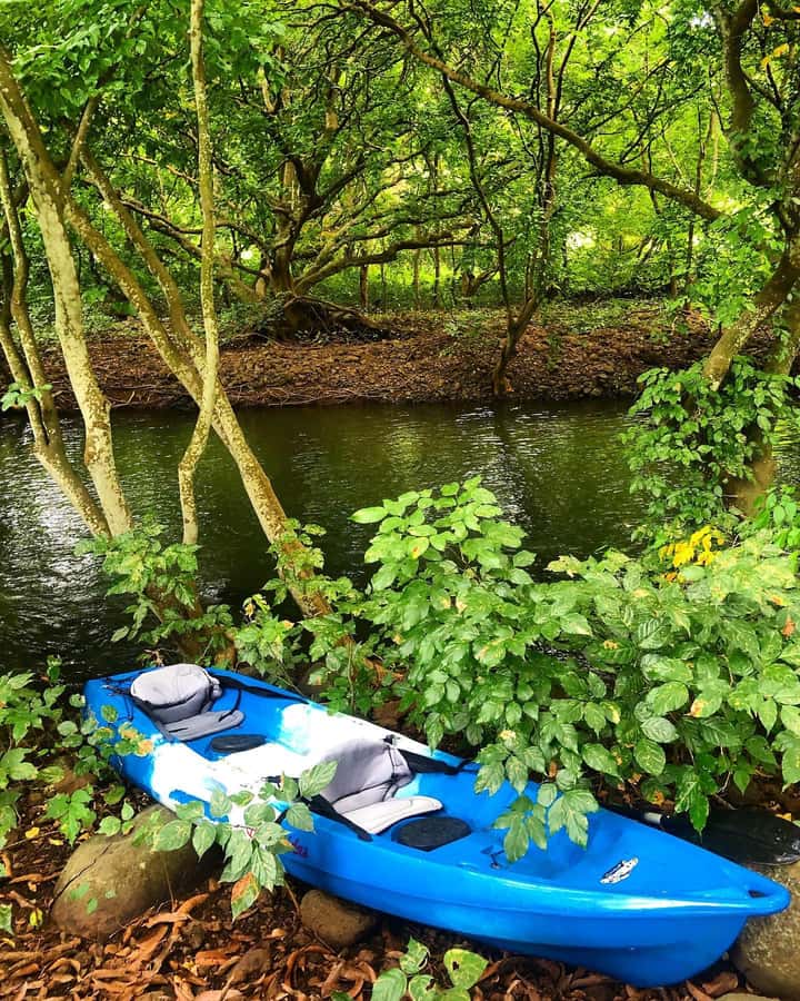 Mauritius: Tamarin Bay Dolphin Watching Kayak Tour - Following the river toward the river mouth