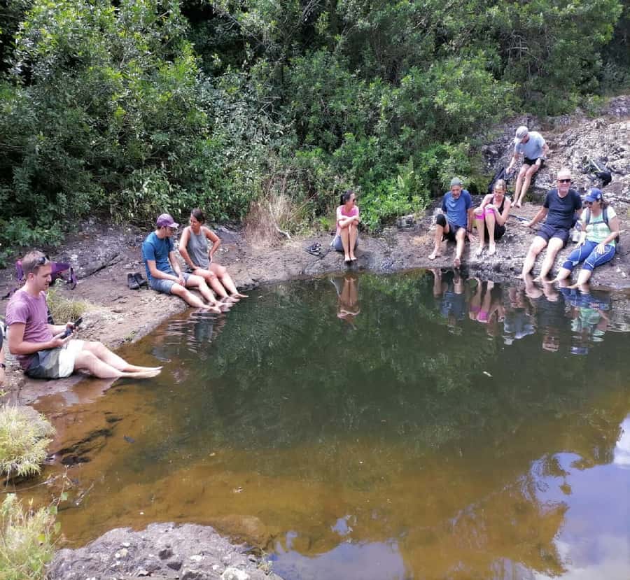 Mauritius: Tamarind Falls Guided Hike with Swim and Lunch - The long climb toward the seventh waterfall