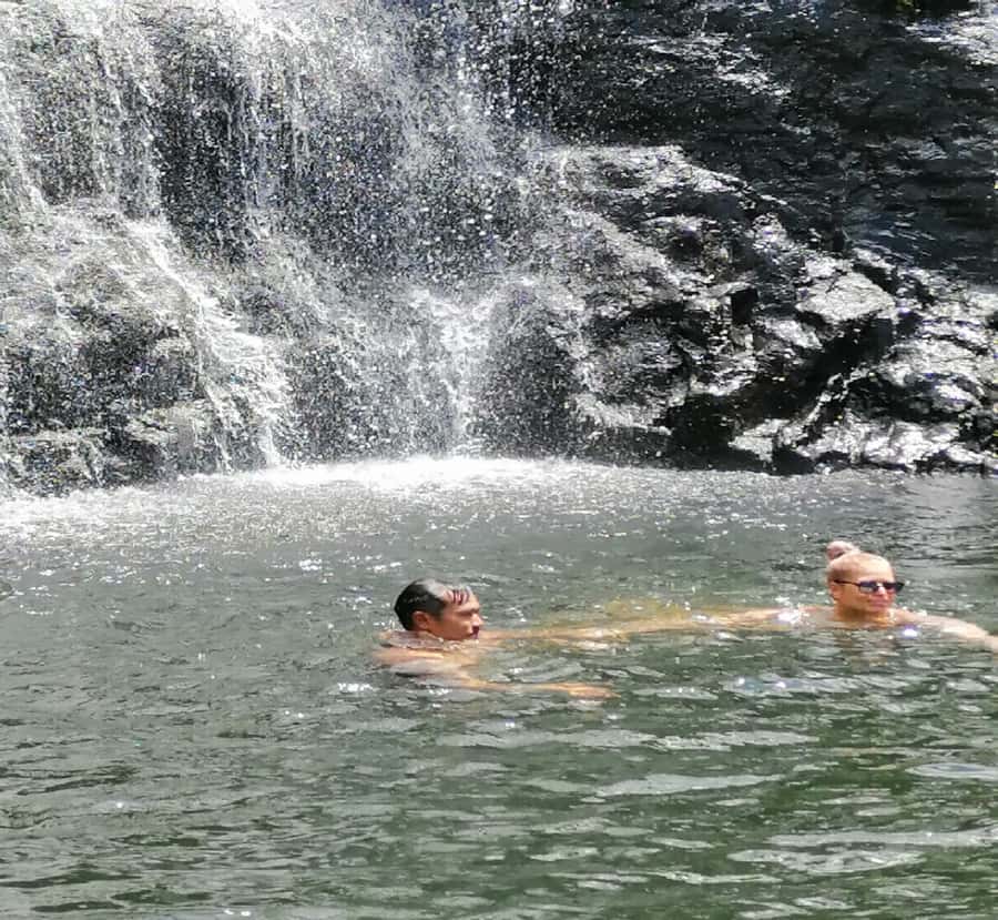 Mauritius: Tamarind Falls Guided Hike with Swim and Lunch - The first 40 minutes through the forest