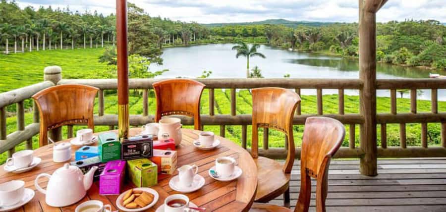 Mauritius: Tea and Sugar Plantation Guided Tour with Lunch - Why this tour is a useful break from the beach