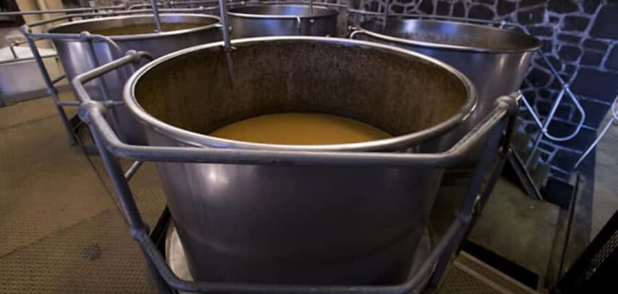 Mauritius: Tea and Sugar Plantation Guided Tour with Lunch - Is $350 good value for two people?
