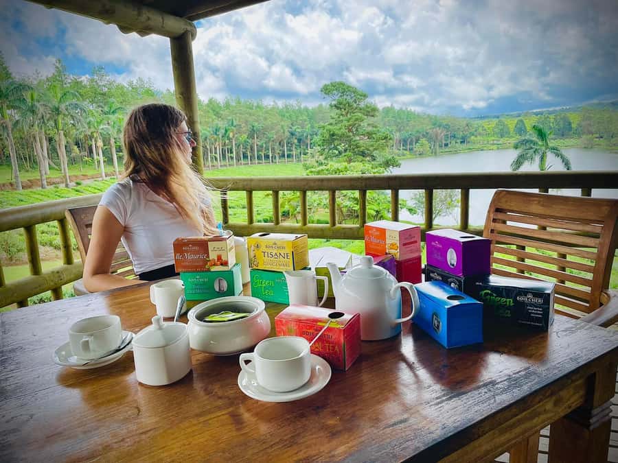 Mauritius: Tea, Rum and Vanilla Route with Lunch and Pickup - Why this route works so well in Mauritius