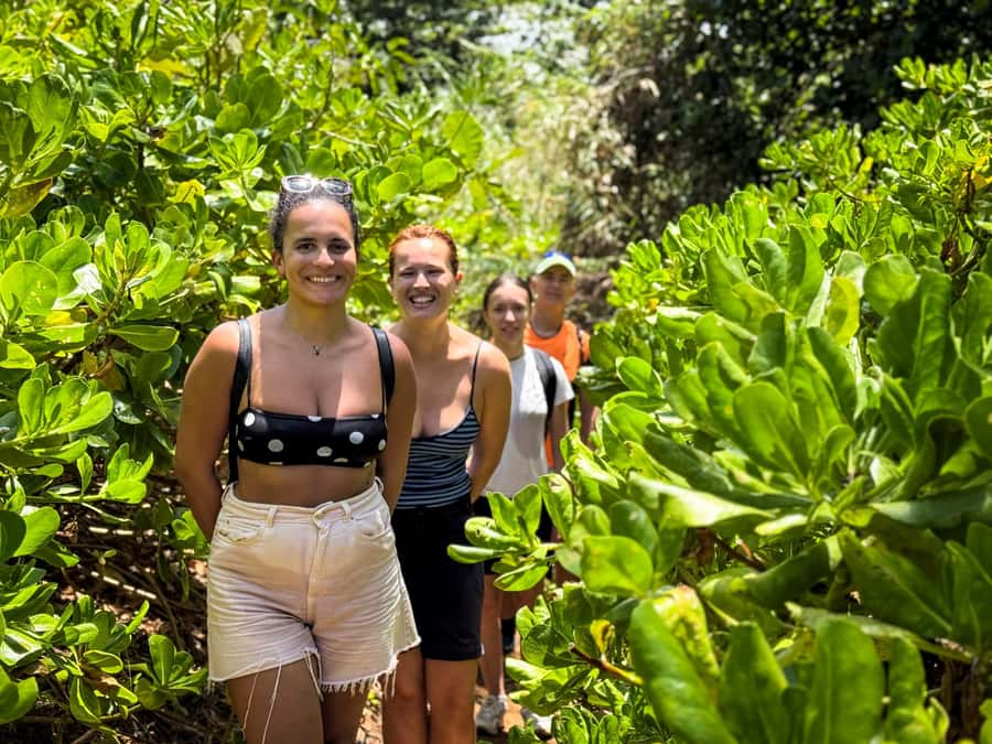 Mauritius: The Wild South Hiking Tour with a Guide - Gris Gris beach and the final coastal view