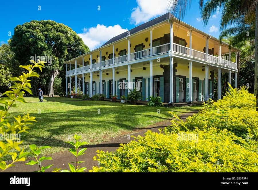 Mauritius: Turtle Swim and North Discovery Tour with Pickup - Pamplemousses Botanical Garden