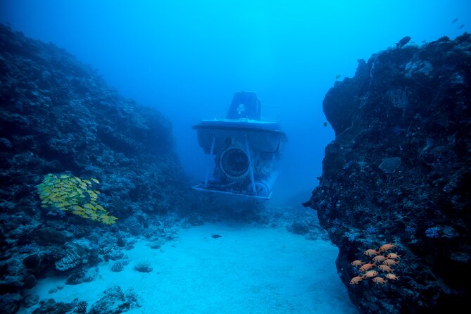 Mauritius Unique Submarine Tour - Five things to know before booking