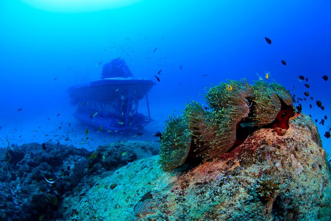 Mauritius Unique Submarine Tour - Why this submarine trip feels different in Mauritius