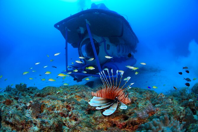 Mauritius Unique Submarine Tour - A small group makes the experience easier