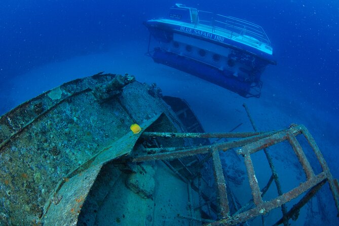 Mauritius Unique Submarine Tour - Is $170 per person good value?
