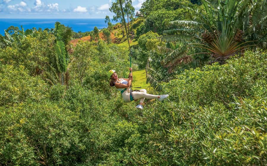 Mauritius: Vallé Advenature Park - Adventure Tour Zipline - Arriving at Vallé Advenature Park