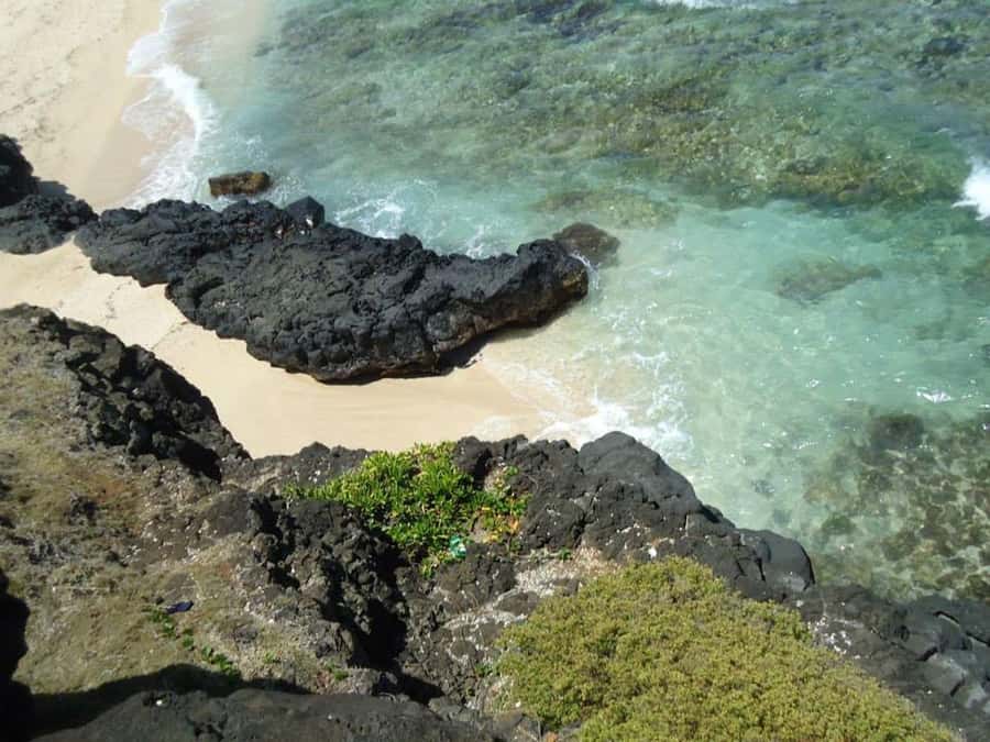 Mauritius: Vanilla Park & Beaches Tour with Extra Option - Gris Gris Beach and the raw southern coast