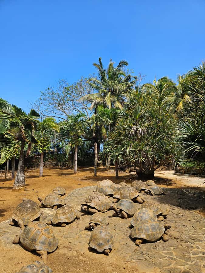Mauritius: Vanilla Park & Beaches Tour with Extra Option - The optional 23 Coloured Earth stop