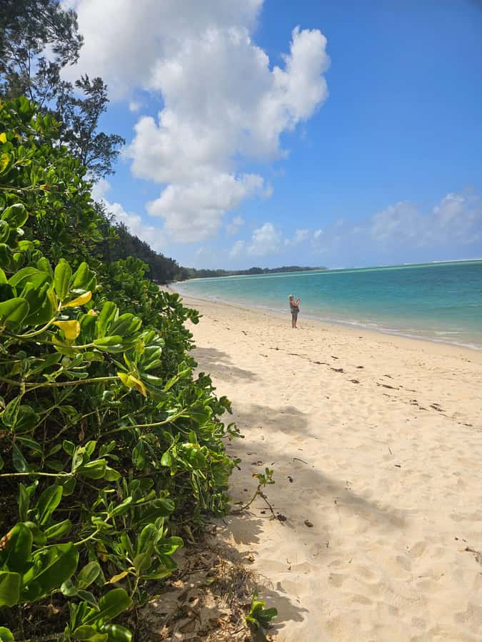 Mauritius: Vanilla Park & Beaches Tour with Extra Option - Guides, pacing, and the real value of the day