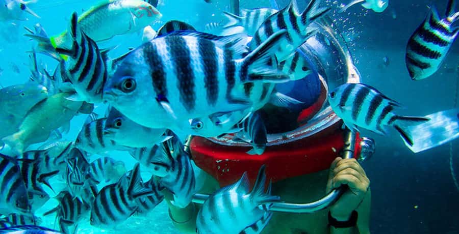 Mauritius: Watersport Adventure Day with Lunch and Pickup - Pickup, clothing, and practical preparation