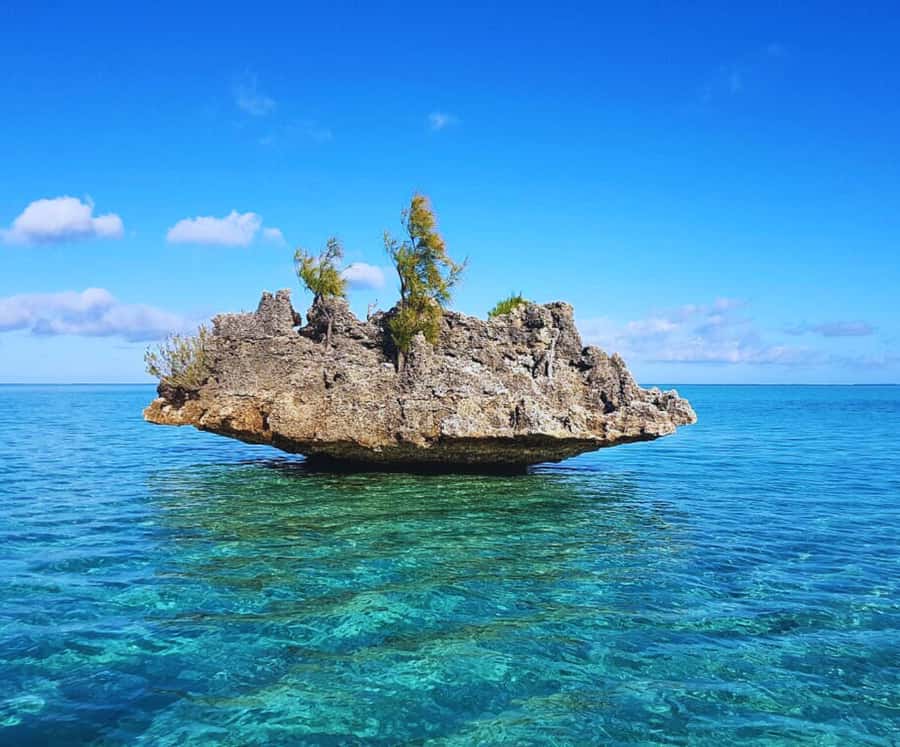 Mauritius West Coast DolphinSwim, CrystalRock,& lunch - A catamaran ride with room to slow down
