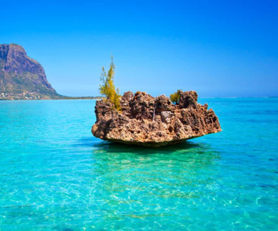 Mauritius West Coast DolphinSwim, CrystalRock,& lunch - Swimming and snorkeling at Crystal Rock