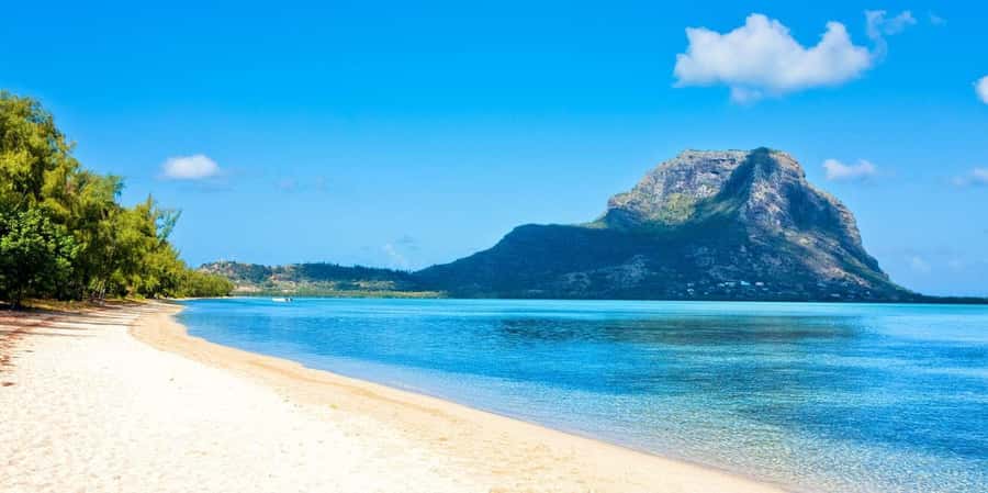 Mauritius West Coast DolphinSwim, CrystalRock,& lunch - Meeting dolphins in their natural home