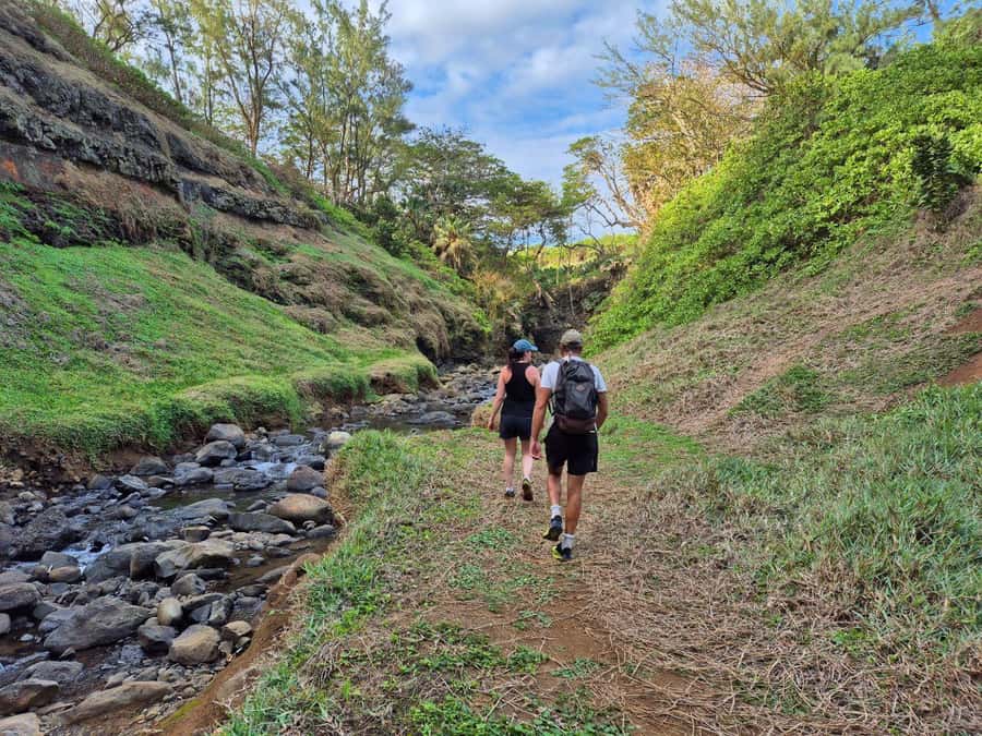 Mauritius-Wild South Coast (Gris Gris) - What the 150-minute schedule means