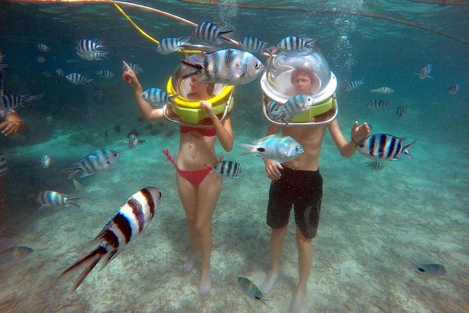 Mesmerizing Ile aux Cerf: Speed Boat, GRSE, Lunch & Undersea walk (Full Day) - Starting at Trou d’Eau Douce at 8:30 am