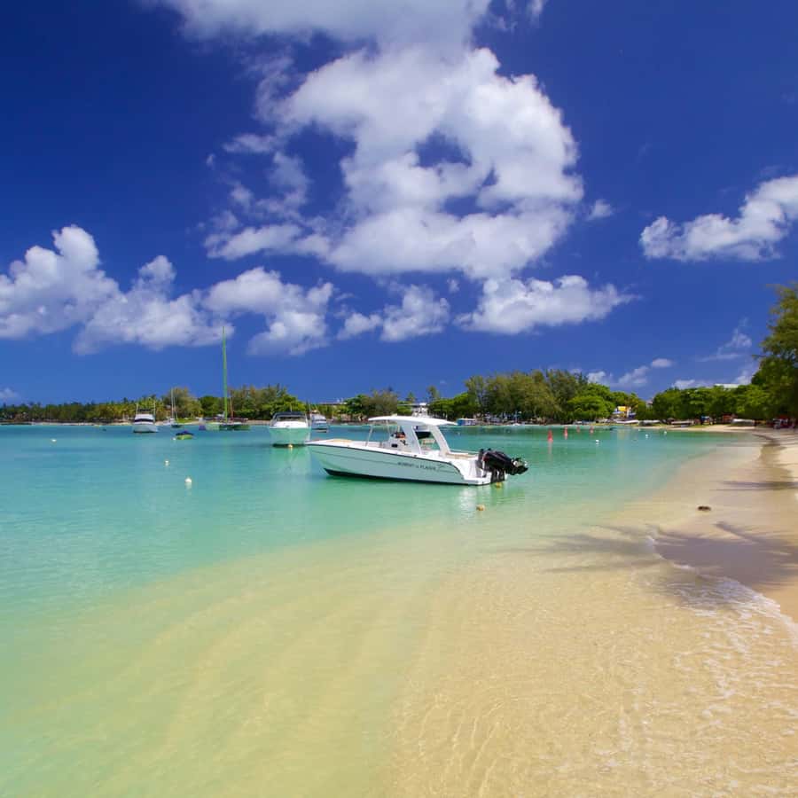 North Day Tour, Botanical Garden, Sugar Museum, Rum Tasting - What the private price really buys you