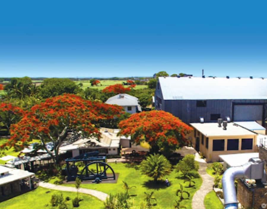 North Day Tour, Botanical Garden, Sugar Museum, Rum Tasting - Starting from the northern resorts