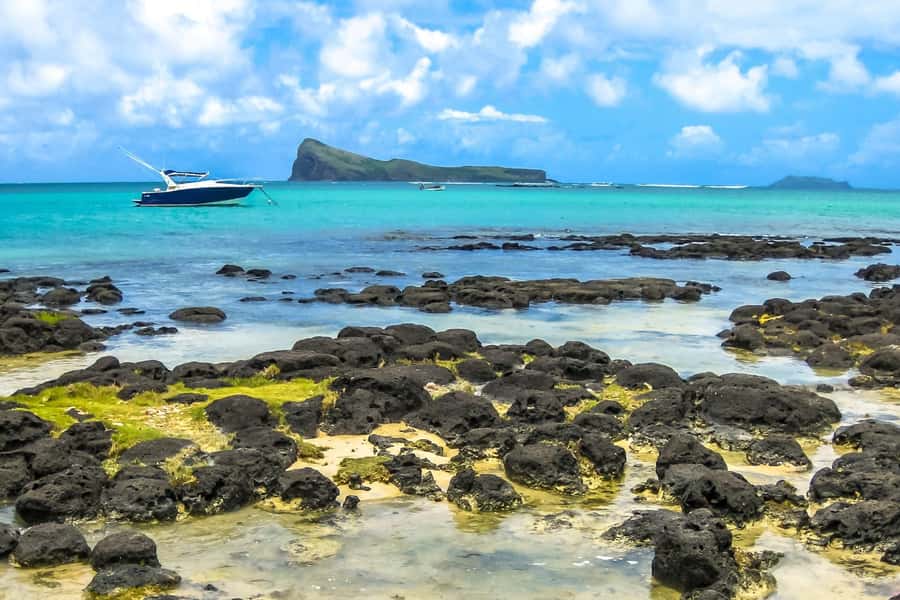 North of Mauritius All inclusive Full day Tour with Lunch - Sir Seewoosagur Ramgoolam Botanical Garden