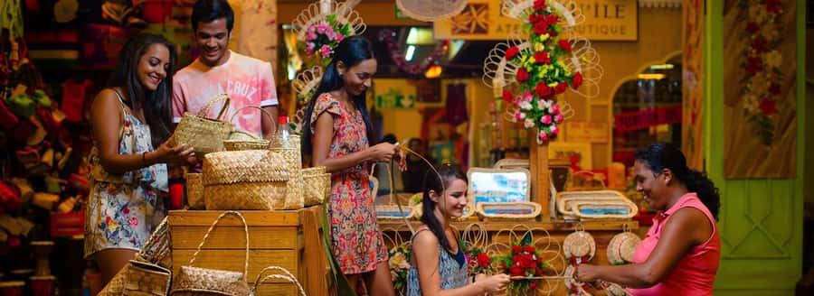 North of Mauritius All inclusive Full day Tour with Lunch - Why the driver-guide matters so much