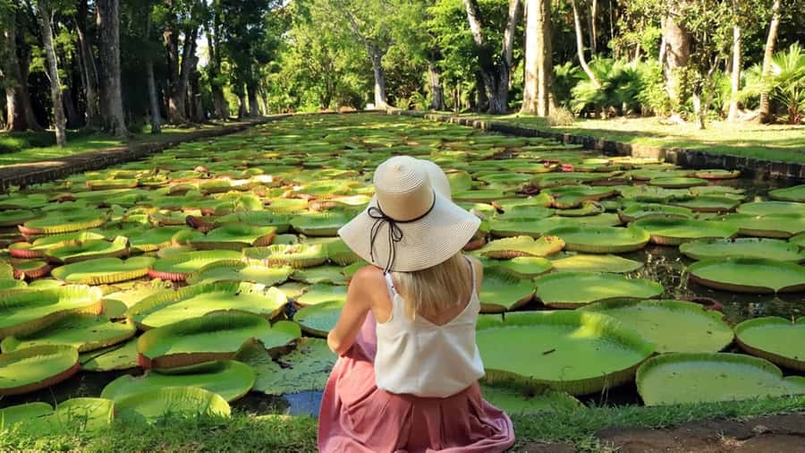 North Tour: Port Louis, Caudan, Citadelle, Botanical Garden - Key Points at a Glance