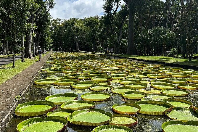 Northern Mauritius Private Tour w/ Port louis Market and Beaches - Why this private northern route works