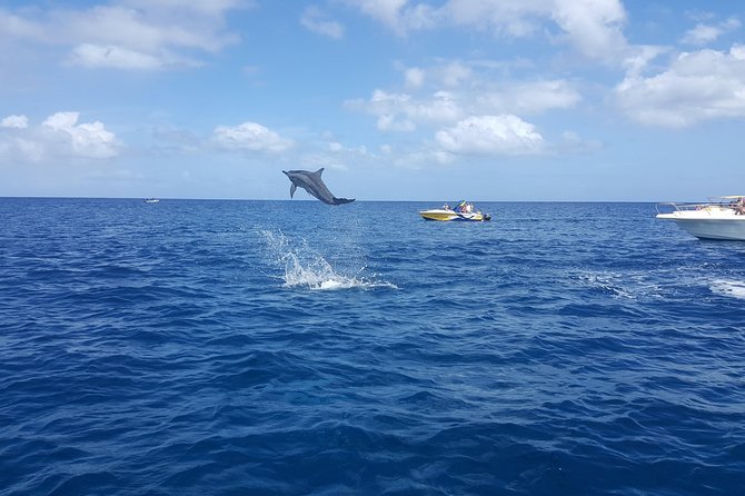 Ocean Swim with Dolphins - Crystal Rock with Le Morne behind it