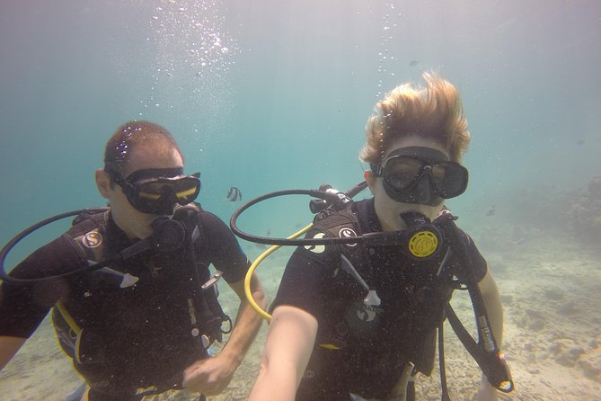 Padi Open Water Diver Course - Day three: four open-water sessions around Mauritius