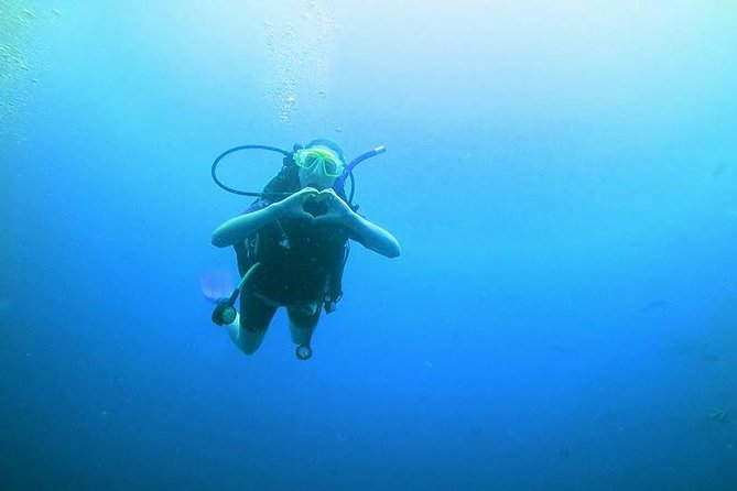 Padi Open Water Diver Course - What the $650 price really covers