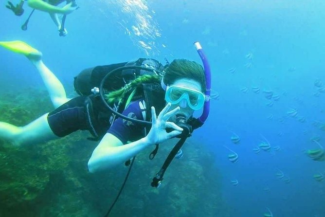 Padi Open Water Diver Course - Who should book this course