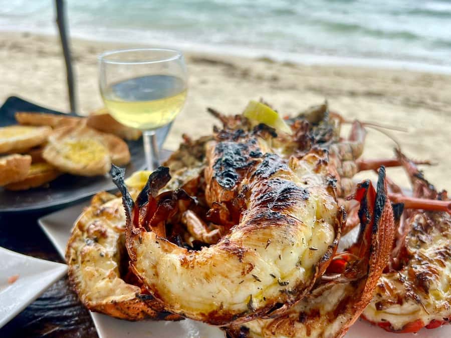 'Pieds dans l'eau': Snorkel & have Lunch on 'Benitier island - Key points to know before you book