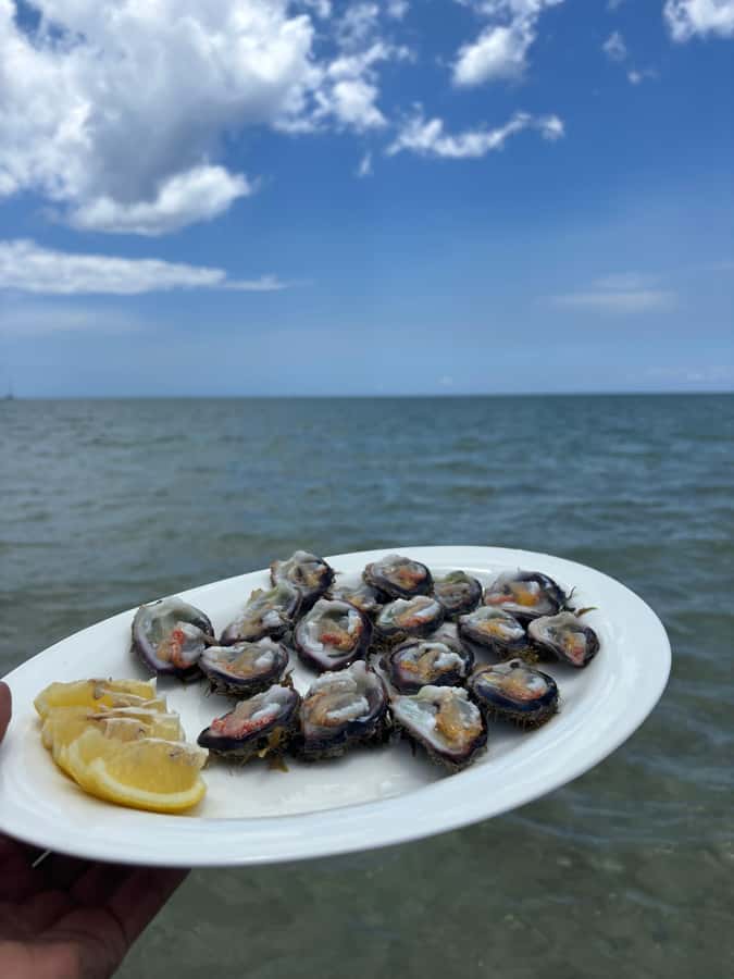 'Pieds dans l'eau': Snorkel & have Lunch on 'Benitier island - A private boat across the Le Morne lagoon