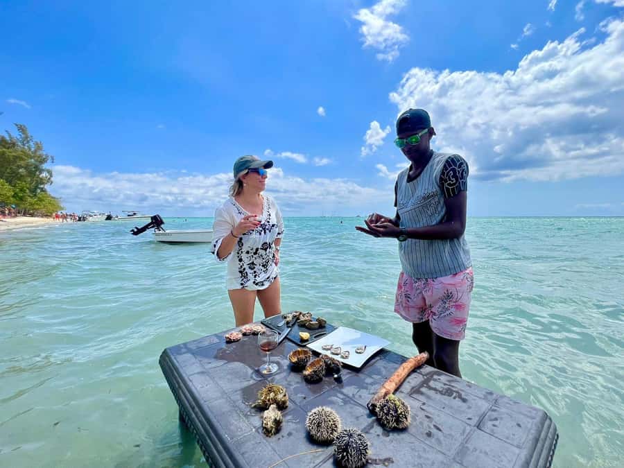 'Pieds dans l'eau': Snorkel & have Lunch on 'Benitier island - Snorkeling beside the famous Crystal Rock