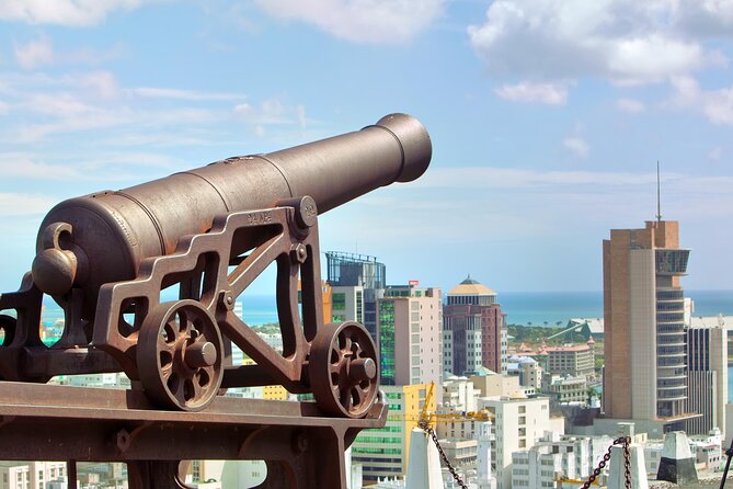 Port Louis and Pamplemousses Garden - A full day trip - Fort Adelaide and the best city view