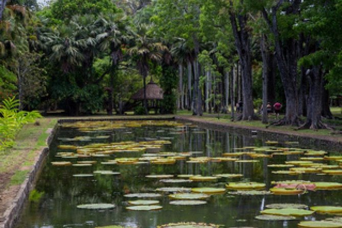 Port Louis and Pamplemousses Garden - A full day trip - Timing, transport, and who will enjoy it
