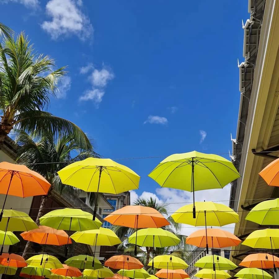 Port Louis: City Tour with Street Food Tasting - Why Port Louis Works Best With a Guide