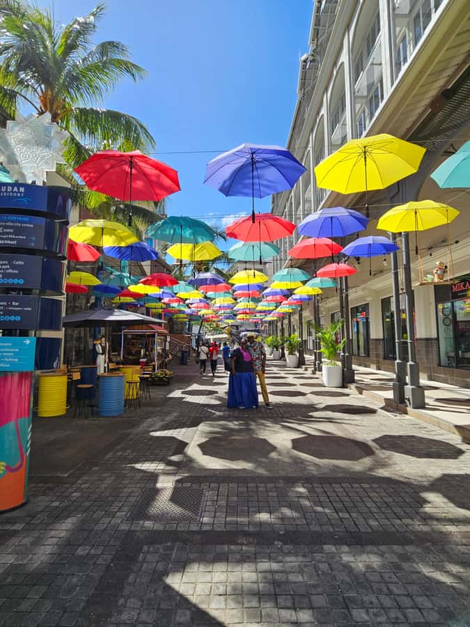 Port Louis: Mont Choisy, Botanical Garden, and Church Tour - Key points at a glance