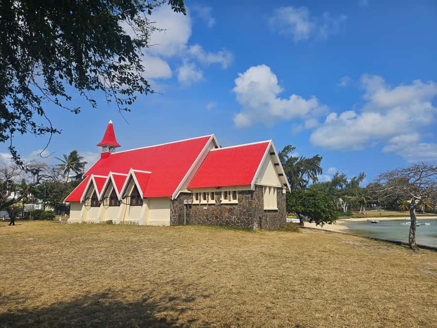 Port Louis: Mont Choisy, Botanical Garden, and Church Tour - Pamplemousses Botanical Garden and the giant lilies