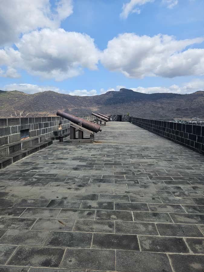 Port Louis: Mont Choisy, Botanical Garden, and Church Tour - Food, extra stops, and what the price includes