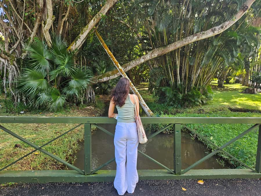 Port Louis: Mont Choisy, Botanical Garden, and Church Tour - Who should book this tour?