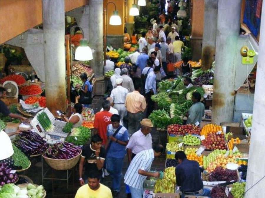 Port Louis: Private Guided Sightseeing Tour - Guides, driving, and the value of a private vehicle