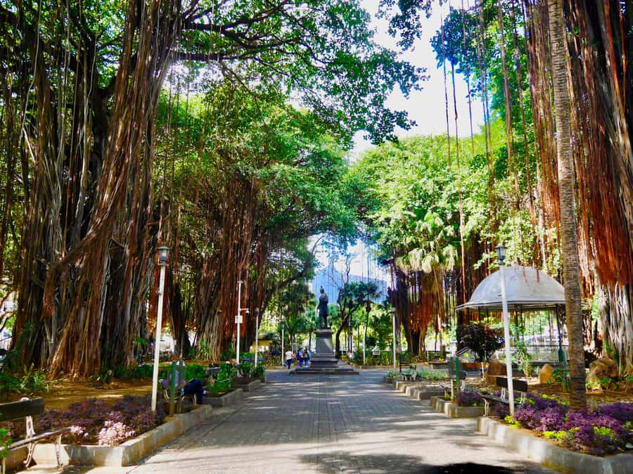 Port Louis: Street Eats and City Highlights Walking Tour - Chinatown: a tasty first chapter
