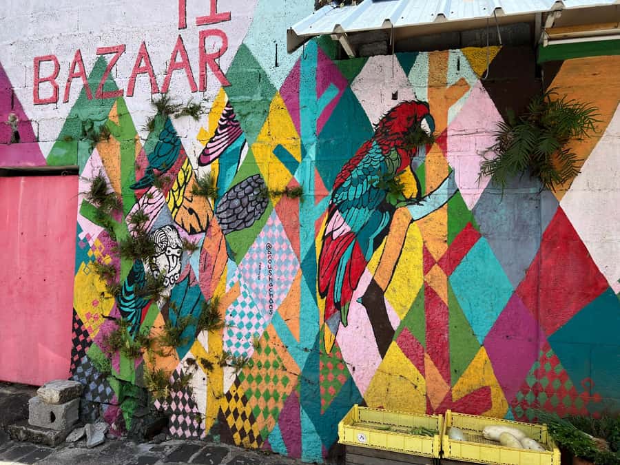 Port Louis: Street Food & City Tour - The secret stop and Port Louis street life