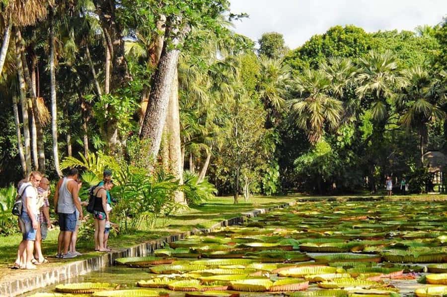 Private All Inclusive North Tour with Lunch & Entrance Fees - Private car comfort and the driver question