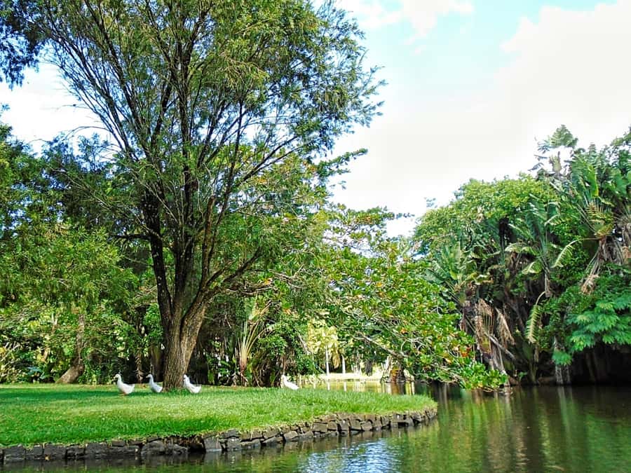 Private All Inclusive North Tour with Lunch & Entrance Fees - Pamplemousses Botanical Garden and its giant water lilies