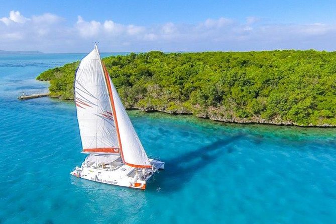 Private Charter Full Day Cruise: Île aux Cerfs - Setting off from Pointe Jerome at 9:00 a.m.